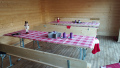 IMG_20231203_145042