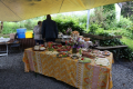 NWS Brunch (02.06.2024)