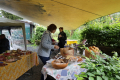 NWS Brunch (02.06.2024)