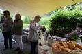 NWS Brunch (02.06.2024)
