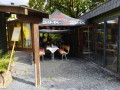 CoPa auf dem Dorfplatz, Durchführung Cocktail Gruppe