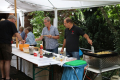 2023-08-12-Dorffest-800-56