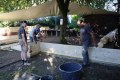 2023-09-04-Fundamenthoelzer-legen-24