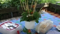 DSC02595