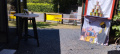 BV NWS Sommerfest 2026