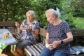 BV NWS Sommerfest 2026