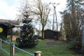 Niederwennerscheider Kinder dürfen ihre selbstgebastelten Weihnachtsschmuckteile in der Weihnachtsbaum am Dorfplatz hängen