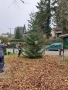 20201127_110854