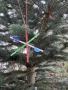 20201129_145541
