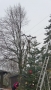 DSC03558