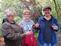 IMG_20191003_164802